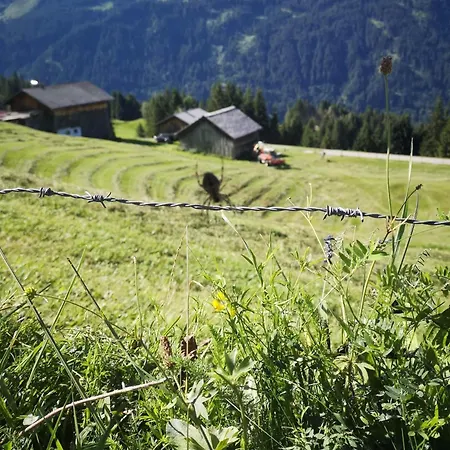 Apartment Froemlig Silbertal